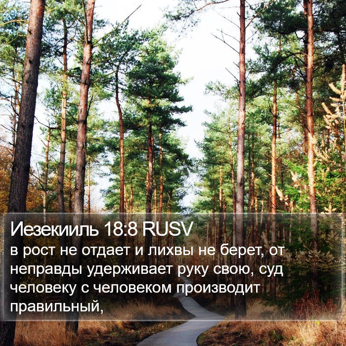 Иезекииль 18:8 RUSV Bible Study