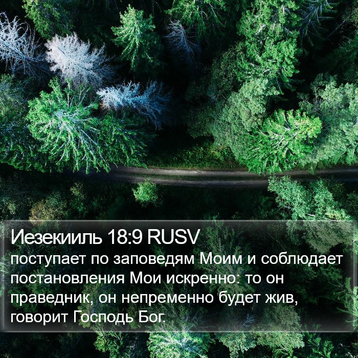 Иезекииль 18:9 RUSV Bible Study