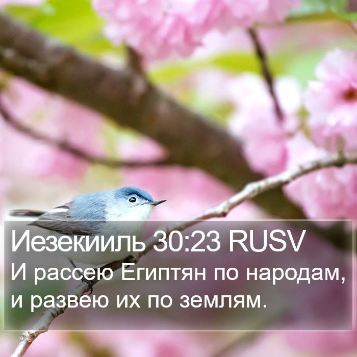 Иезекииль 30:23 RUSV Bible Study