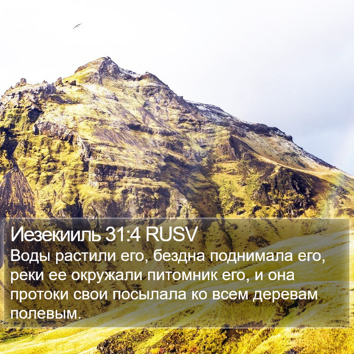 Иезекииль 31:4 RUSV Bible Study