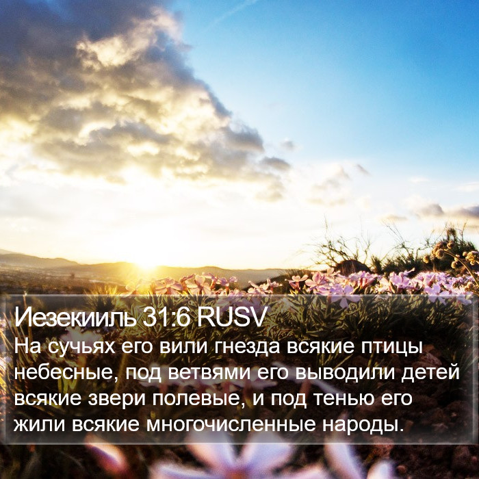 Иезекииль 31:6 RUSV Bible Study