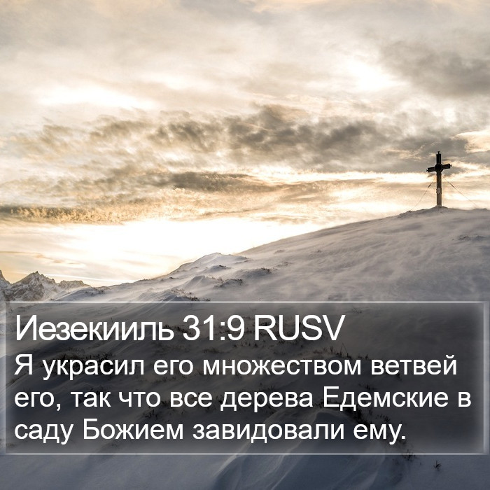 Иезекииль 31:9 RUSV Bible Study