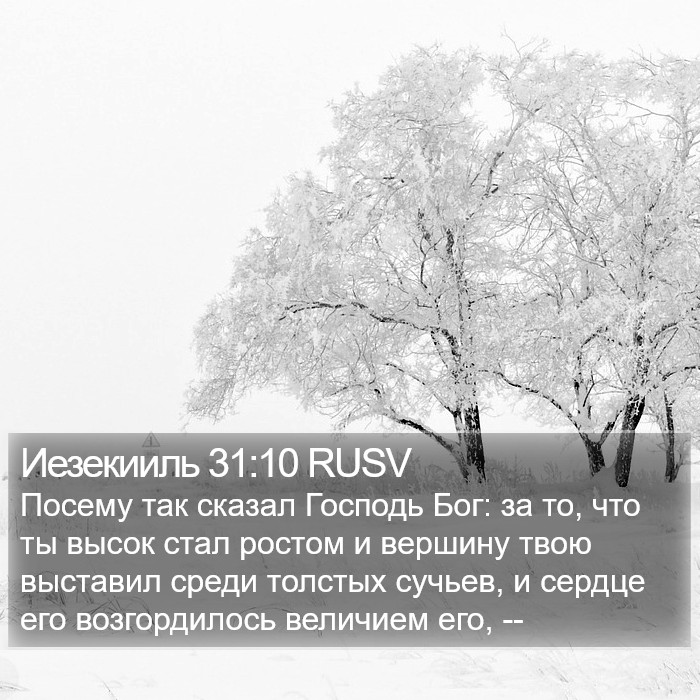 Иезекииль 31:10 RUSV Bible Study