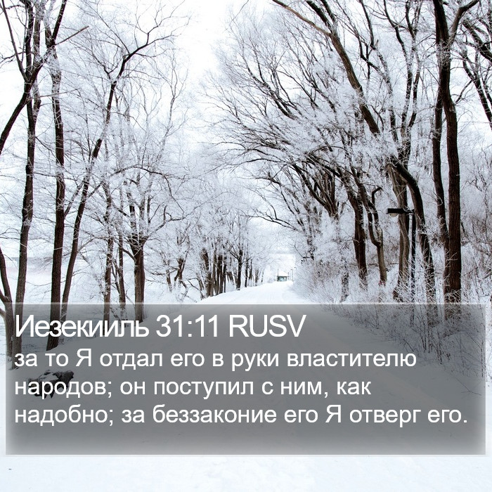 Иезекииль 31:11 RUSV Bible Study