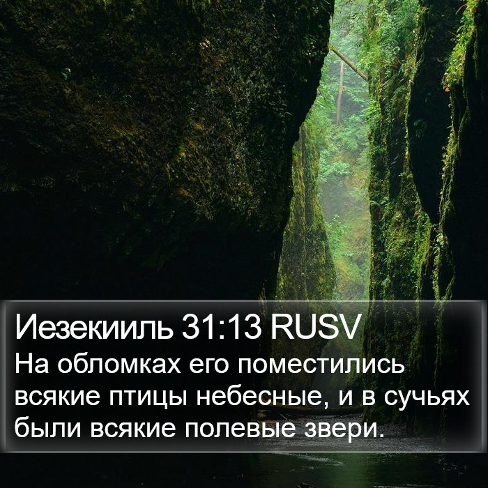 Иезекииль 31:13 RUSV Bible Study