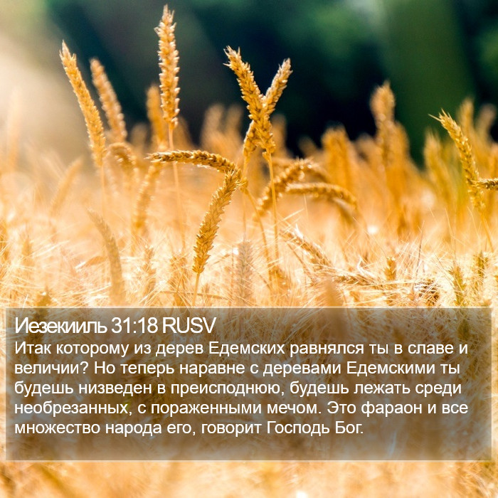 Иезекииль 31:18 RUSV Bible Study