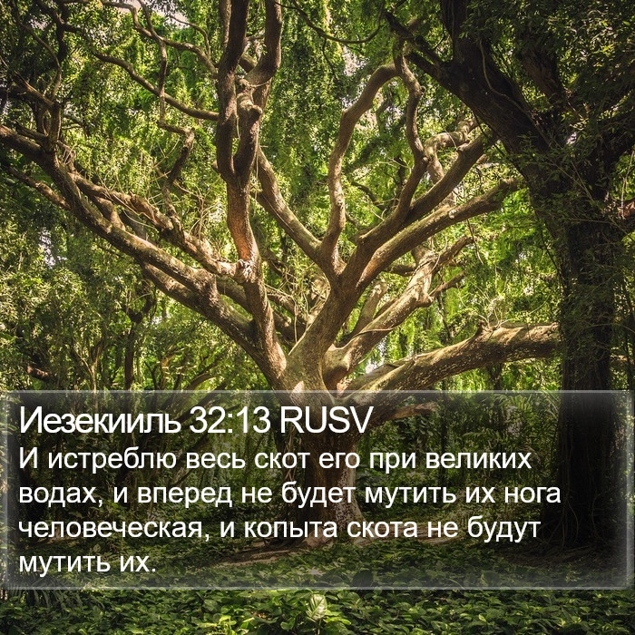 Иезекииль 32:13 RUSV Bible Study