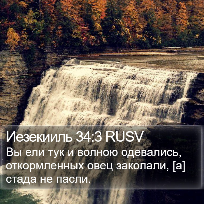 Иезекииль 34:3 RUSV Bible Study