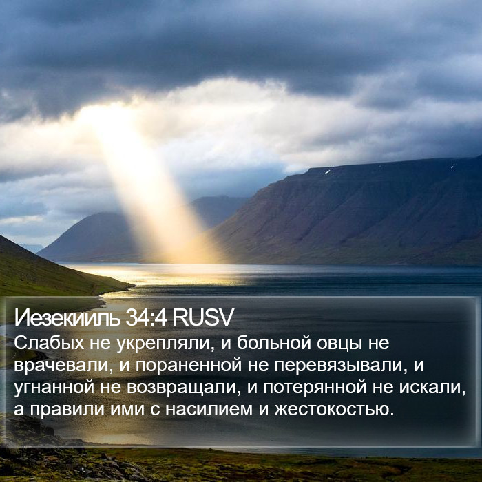 Иезекииль 34:4 RUSV Bible Study