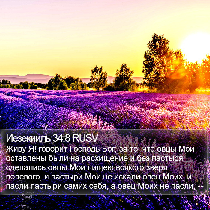 Иезекииль 34:8 RUSV Bible Study
