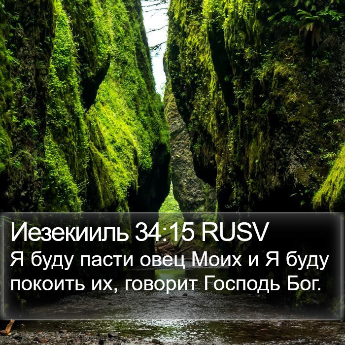 Иезекииль 34:15 RUSV Bible Study