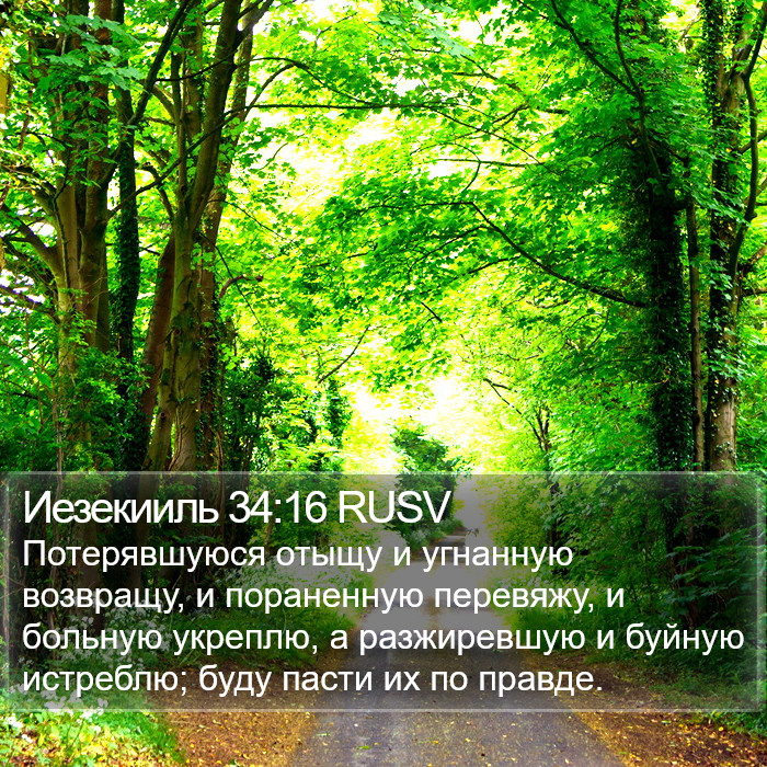 Иезекииль 34:16 RUSV Bible Study