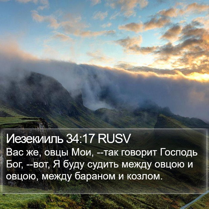 Иезекииль 34:17 RUSV Bible Study