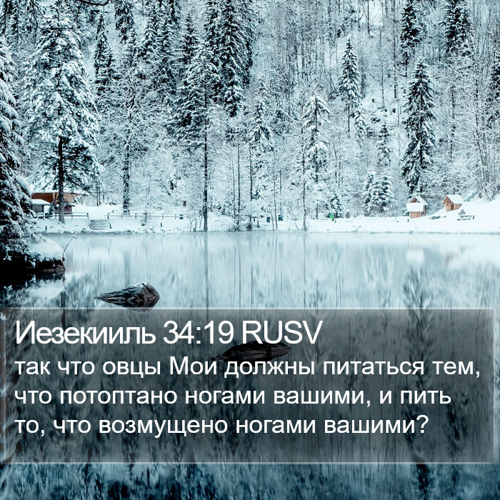 Иезекииль 34:19 RUSV Bible Study