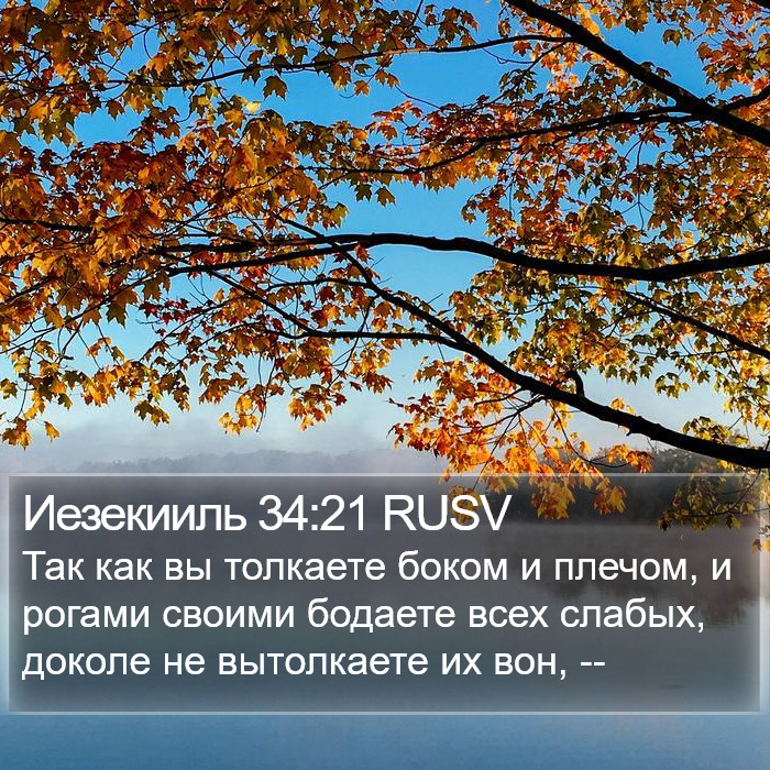 Иезекииль 34:21 RUSV Bible Study
