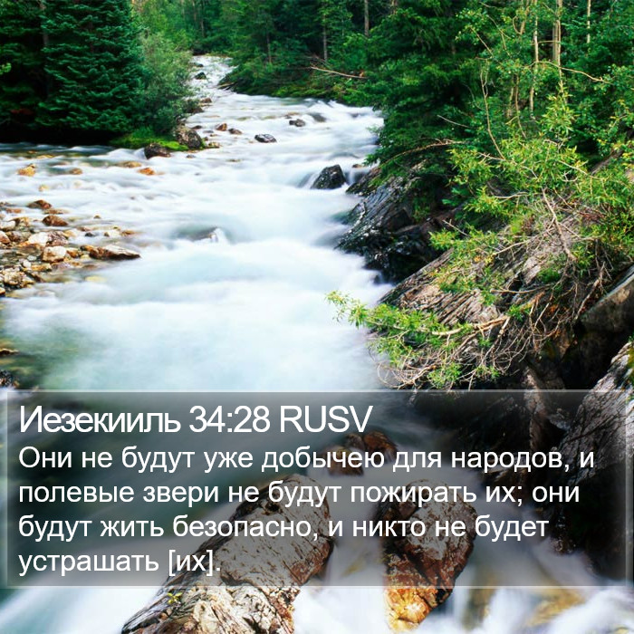 Иезекииль 34:28 RUSV Bible Study