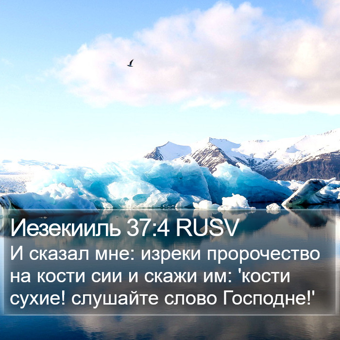 Иезекииль 37:4 RUSV Bible Study
