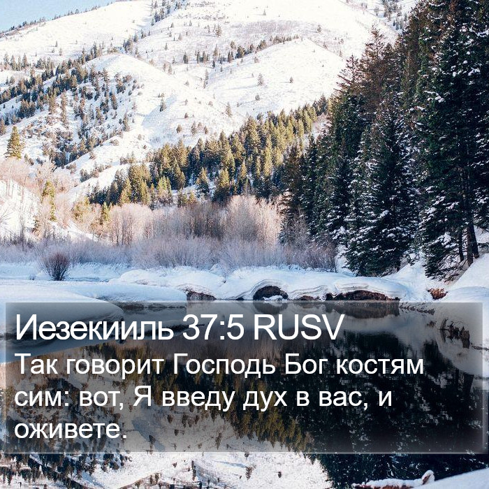 Иезекииль 37:5 RUSV Bible Study