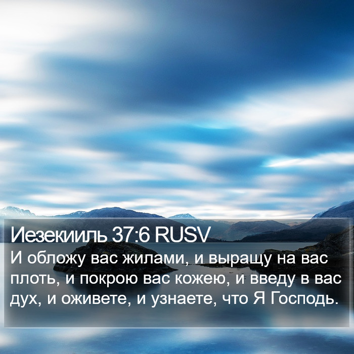 Иезекииль 37:6 RUSV Bible Study