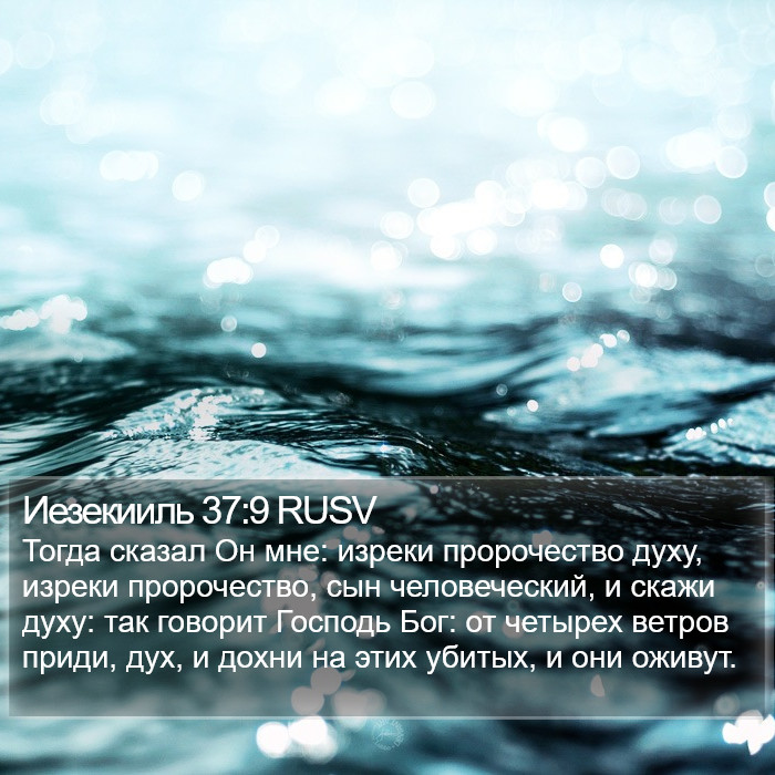 Иезекииль 37:9 RUSV Bible Study