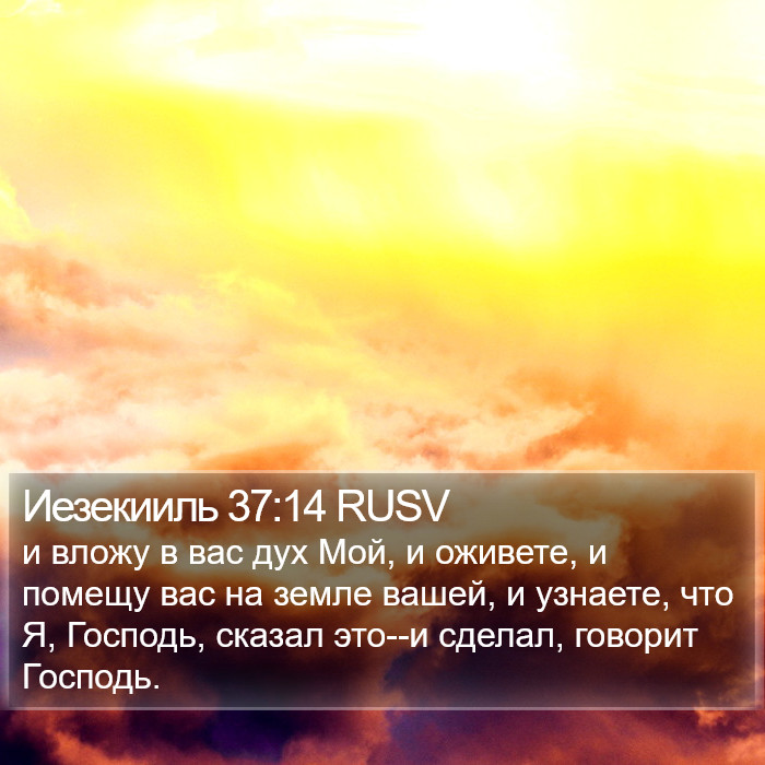 Иезекииль 37:14 RUSV Bible Study