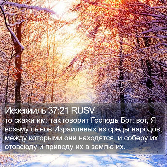 Иезекииль 37:21 RUSV Bible Study