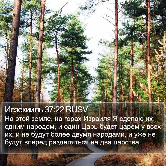 Иезекииль 37:22 RUSV Bible Study