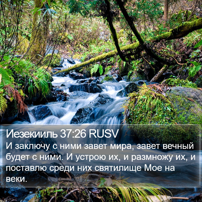 Иезекииль 37:26 RUSV Bible Study