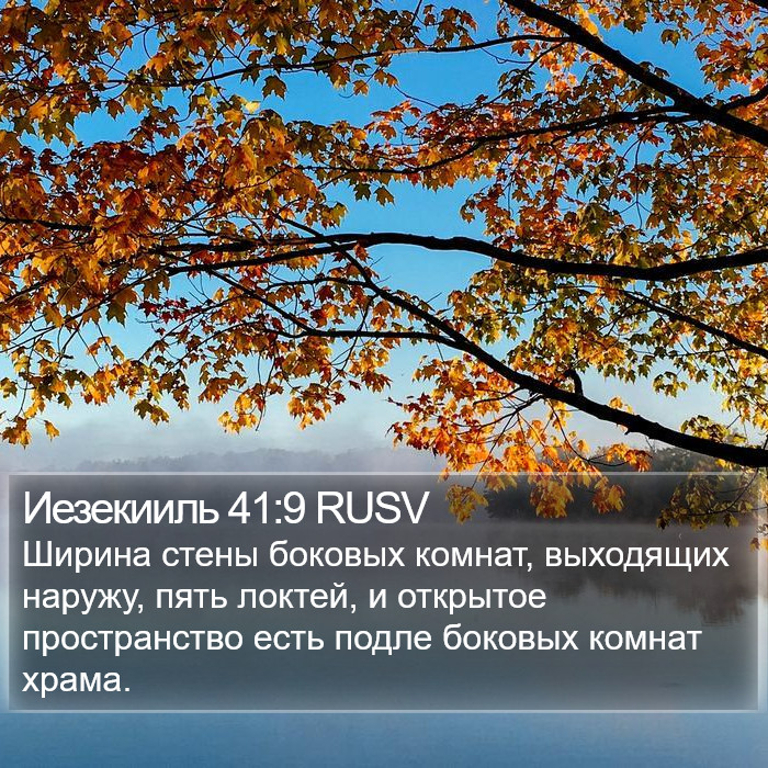 Иезекииль 41:9 RUSV Bible Study