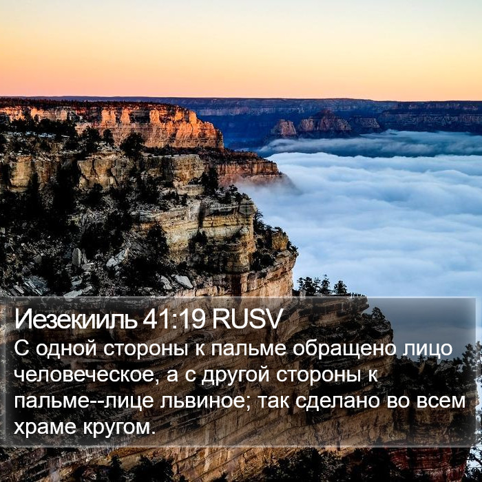 Иезекииль 41:19 RUSV Bible Study