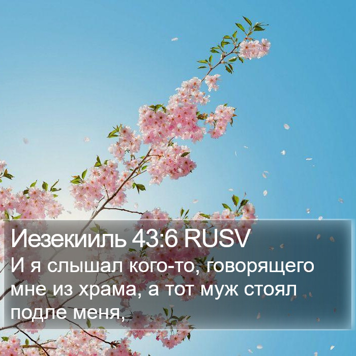 Иезекииль 43:6 RUSV Bible Study