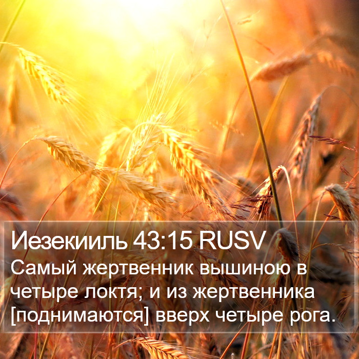 Иезекииль 43:15 RUSV Bible Study