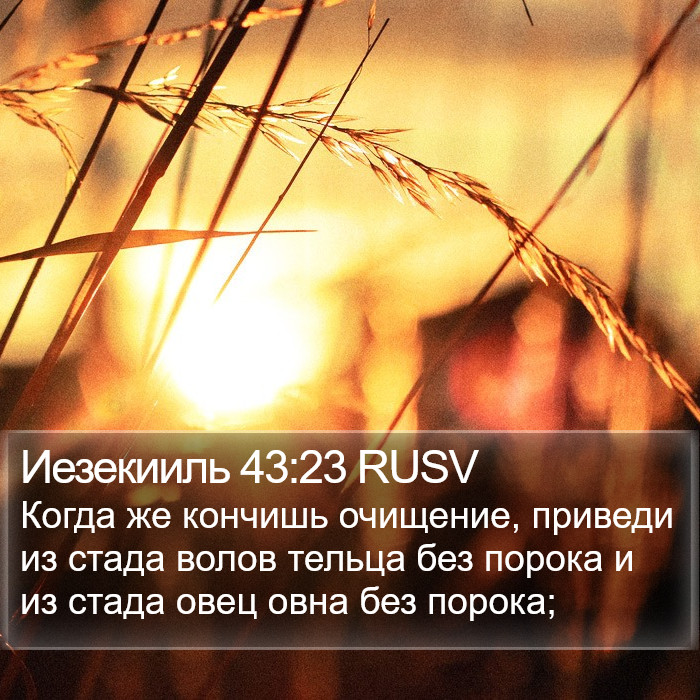 Иезекииль 43:23 RUSV Bible Study