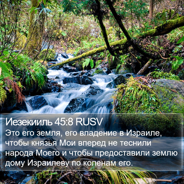 Иезекииль 45:8 RUSV Bible Study