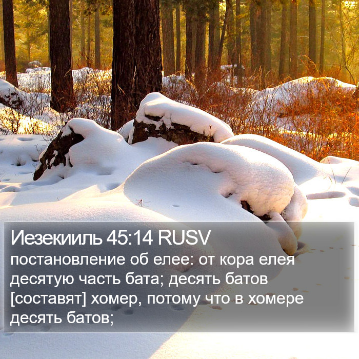 Иезекииль 45:14 RUSV Bible Study