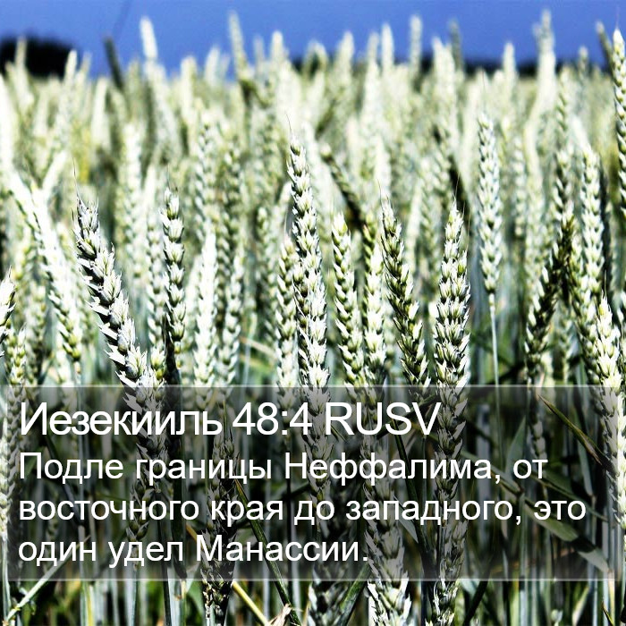 Иезекииль 48:4 RUSV Bible Study