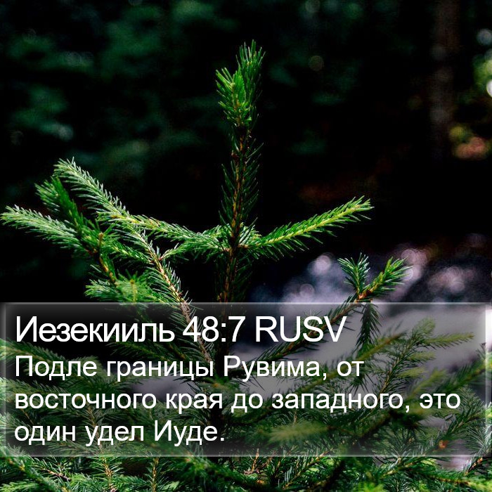 Иезекииль 48:7 RUSV Bible Study