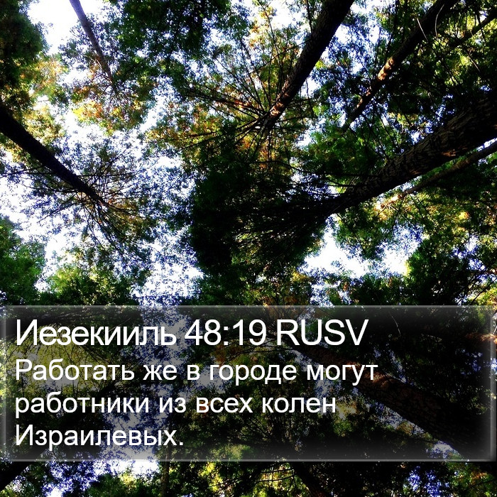 Иезекииль 48:19 RUSV Bible Study