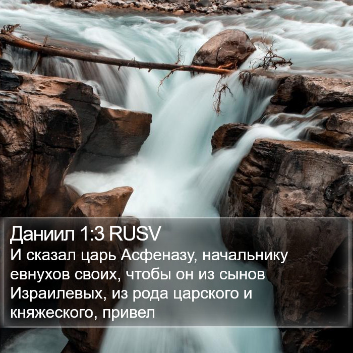 Даниил 1:3 RUSV Bible Study