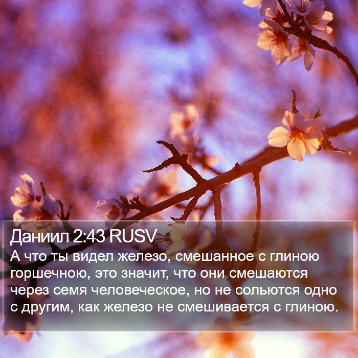 Даниил 2:43 RUSV Bible Study