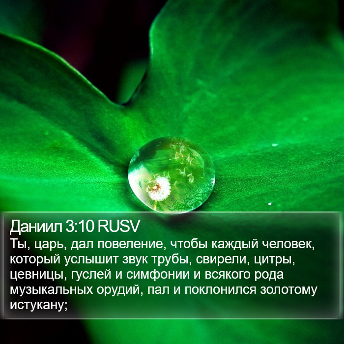 Даниил 3:10 RUSV Bible Study