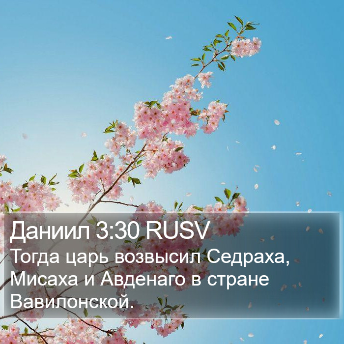Даниил 3:30 RUSV Bible Study