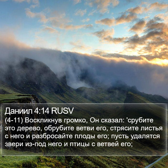 Даниил 4:14 RUSV Bible Study