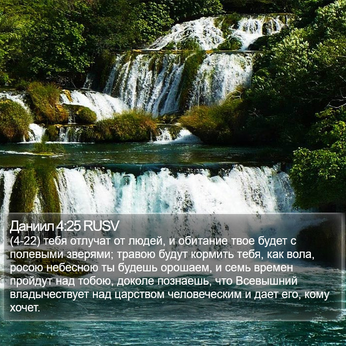 Даниил 4:25 RUSV Bible Study