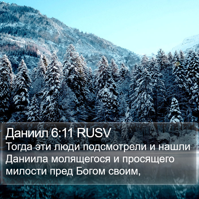 Даниил 6:11 RUSV Bible Study
