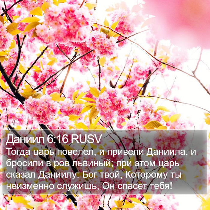 Даниил 6:16 RUSV Bible Study