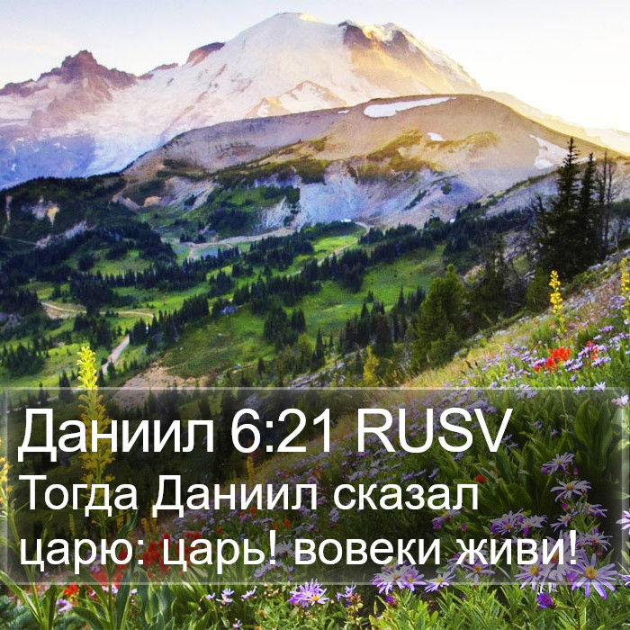 Даниил 6:21 RUSV Bible Study
