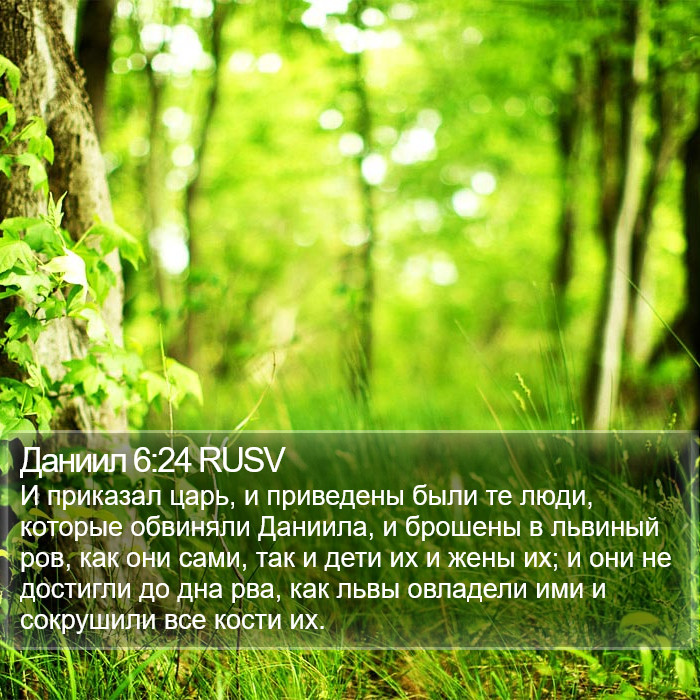 Даниил 6:24 RUSV Bible Study