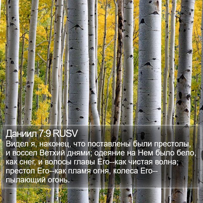 Даниил 7:9 RUSV Bible Study