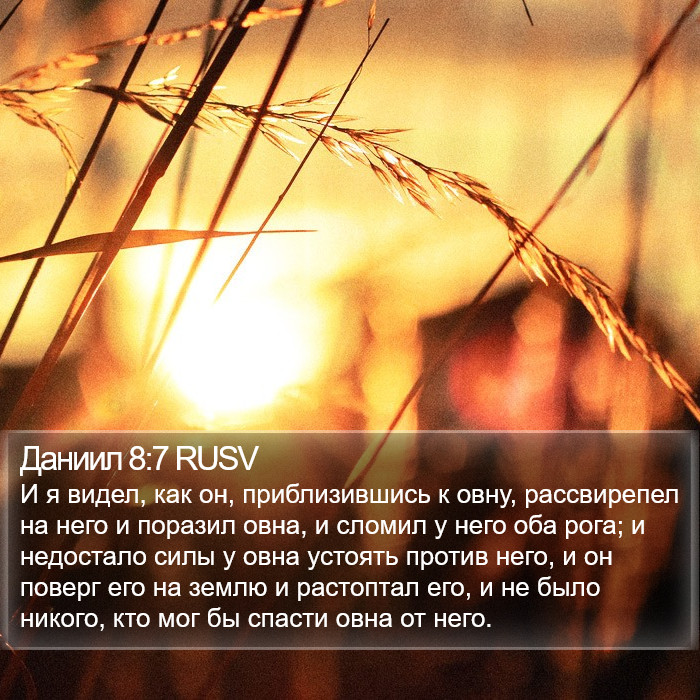 Даниил 8:7 RUSV Bible Study